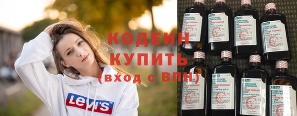 индика Протвино