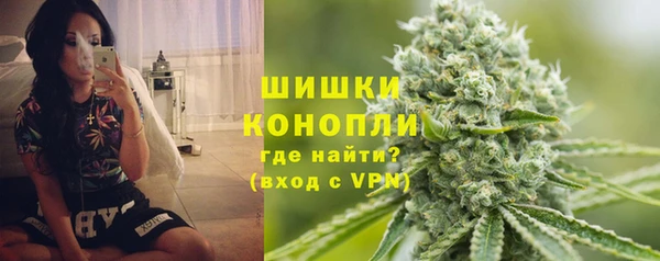 индика Абдулино